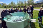 Jugendanglertag_2025_02